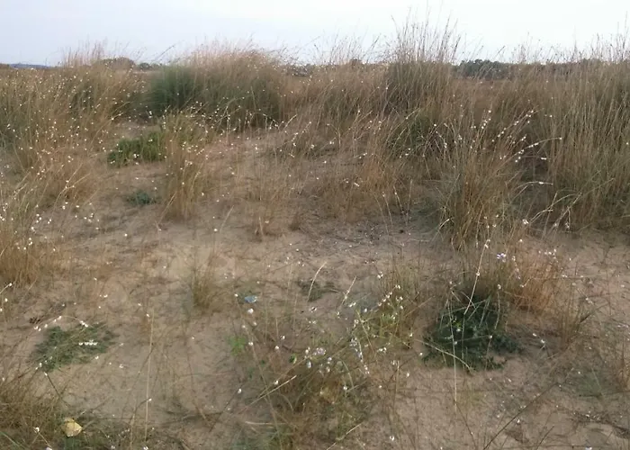 Апартаменты Ninske Vodice Нин