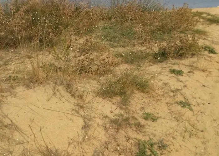 公寓 Ninske Vodice 宁