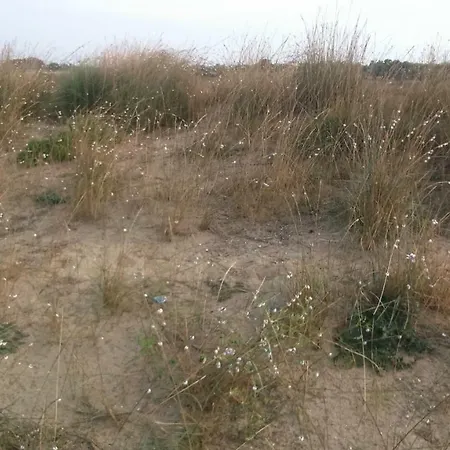 شقة Ninske Vodice نين