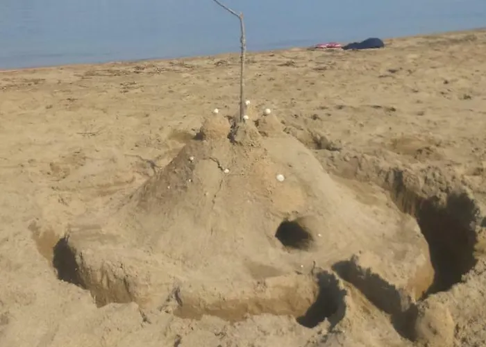 Apartman Ninske Vodice